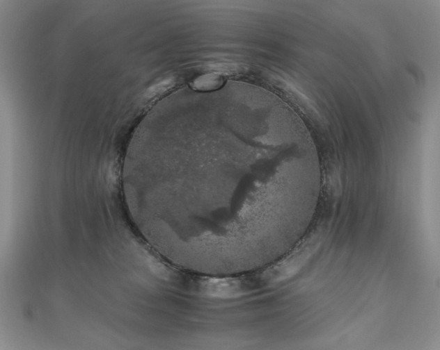 X0000111010277200906191618