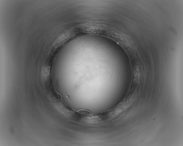 X0000111010278200906191618