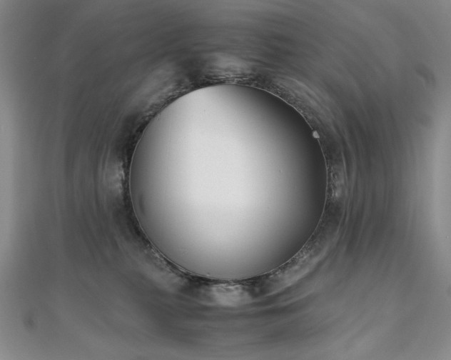 X0000111010279200906191618