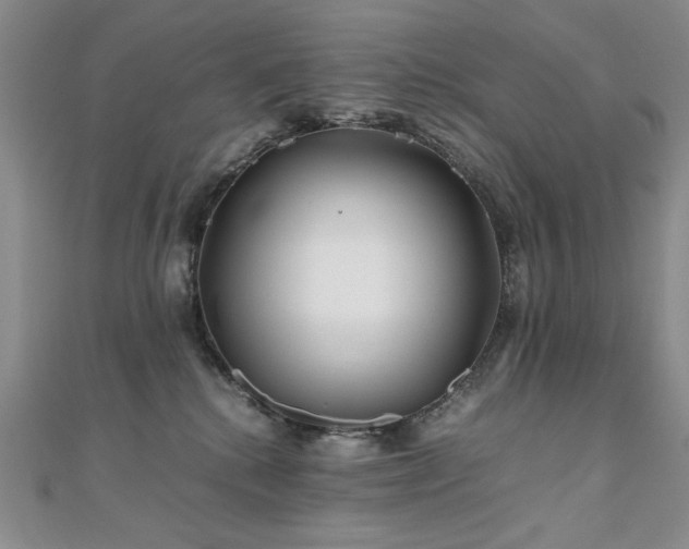 X0000111010280200906191618