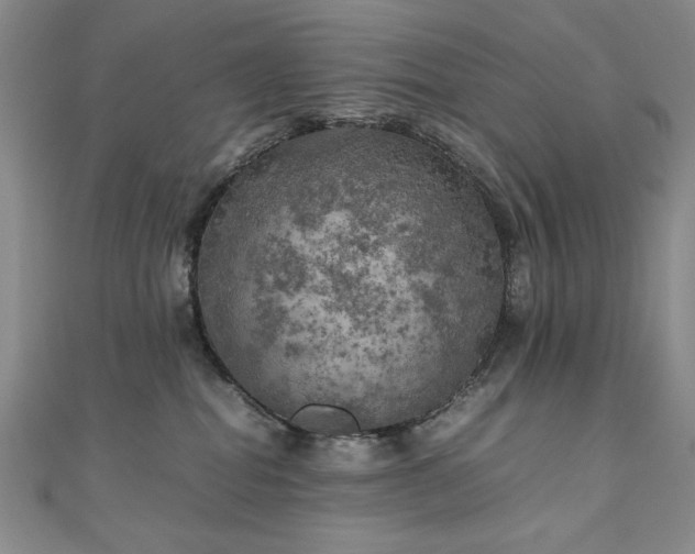 X0000111010282200906191618