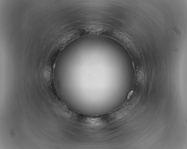 X0000111010283200906191618