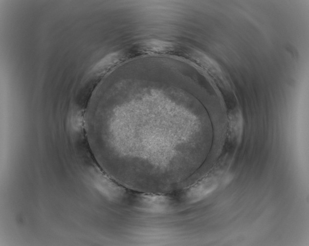 X0000111010284200906191618