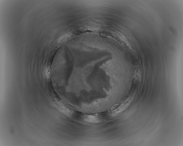 X0000111010285200906191618