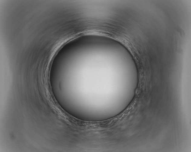 X0000111010289200906191617