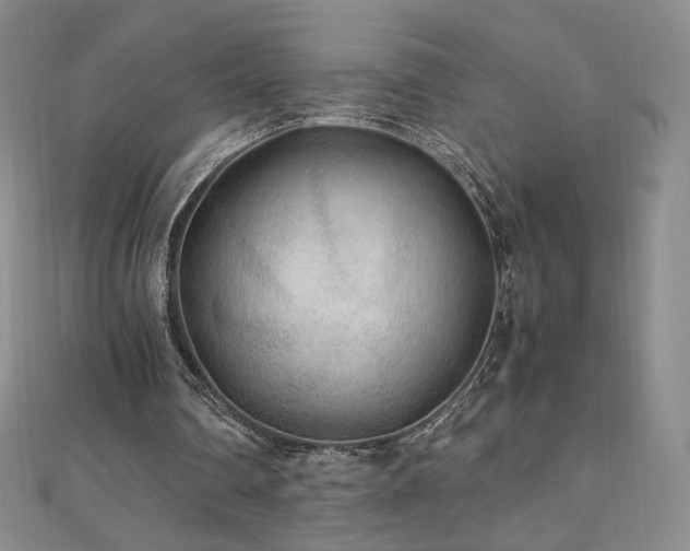 X0000111010290200906191617