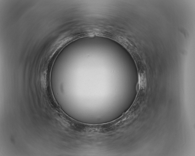 X0000111010291200906191617