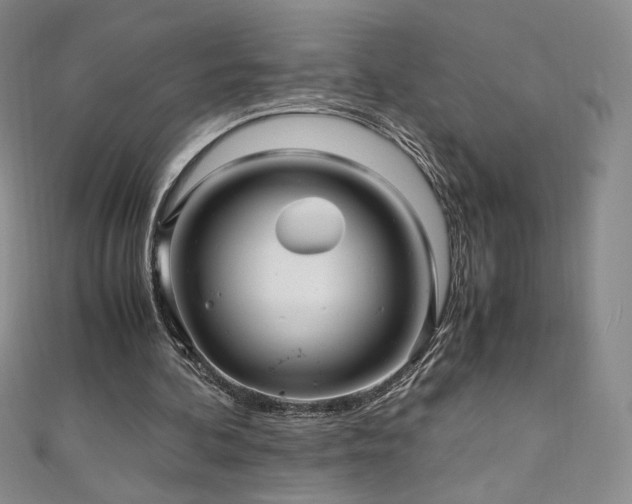 X0000111010292200906191617