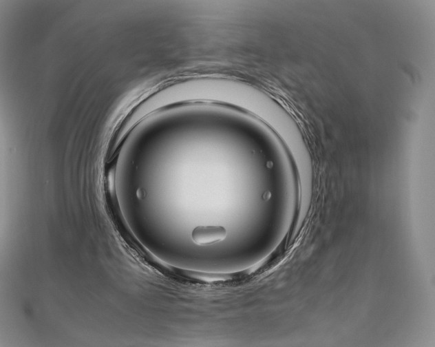 X0000111010293200906191617
