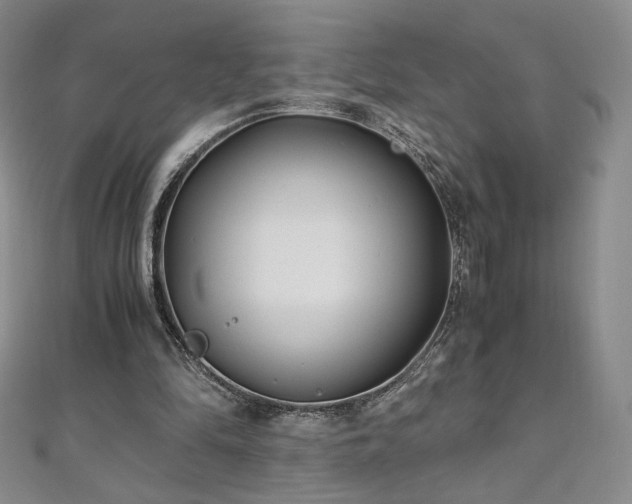 X0000111010294200906191617