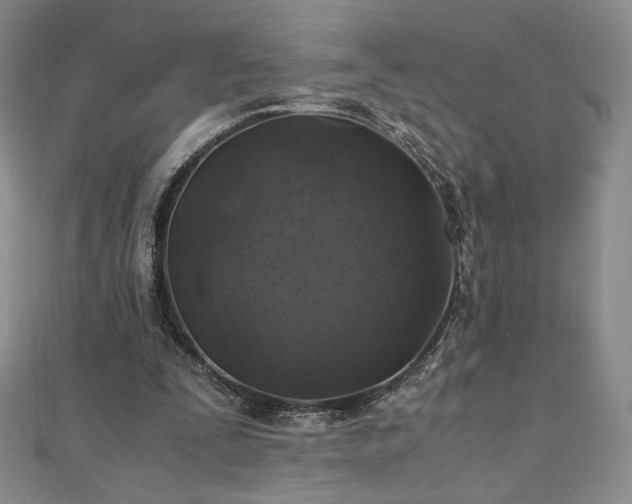 X0000111010295200906191617