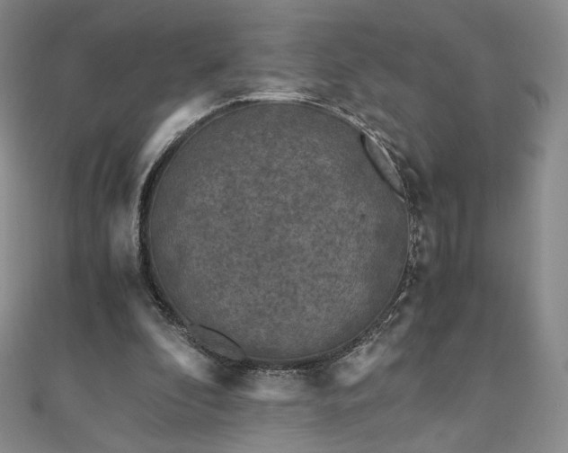 X0000111010296200906191617