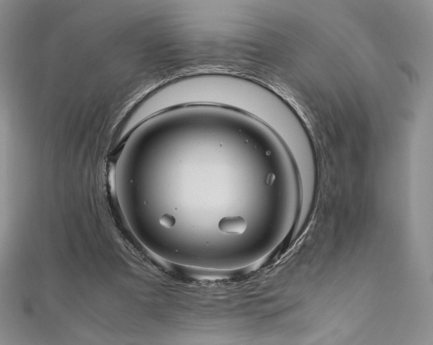 X0000111010297200906191617