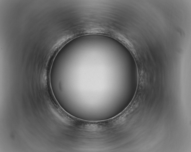 X0000111010298200906191617