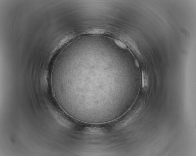 X0000111010300200906191617