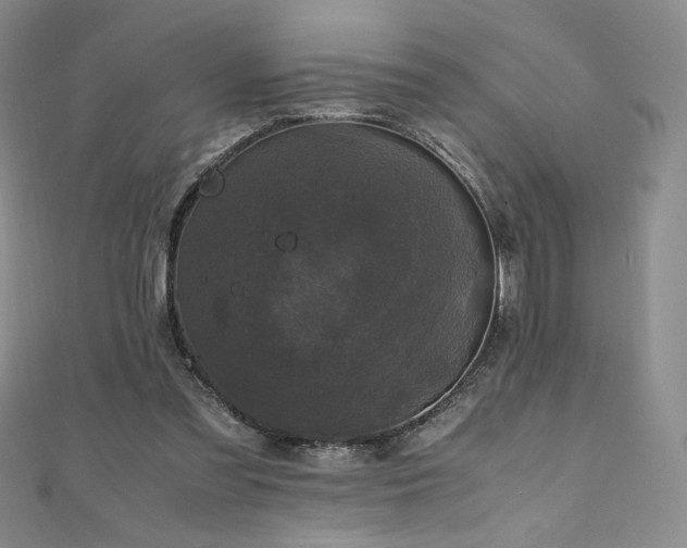 X0000111010301200906191617