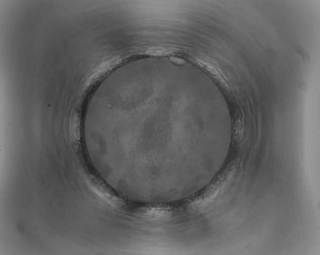 X0000111010303200906191617