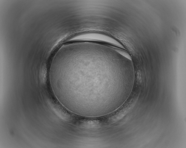 X0000111010304200906191617