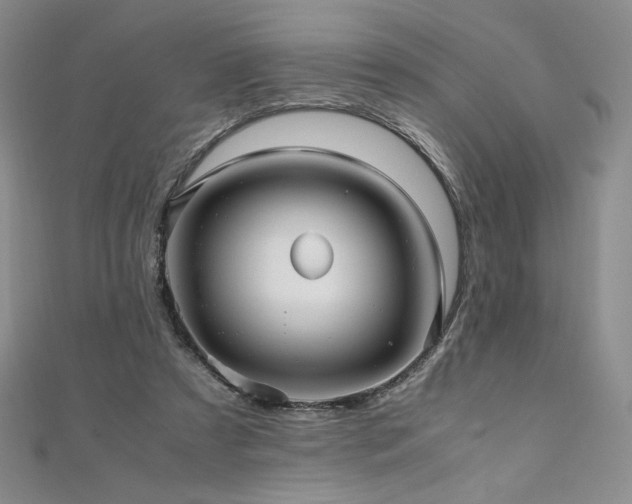 X0000111010305200906191617