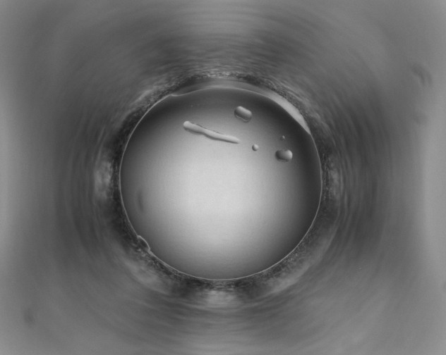 X0000111010308200906191617