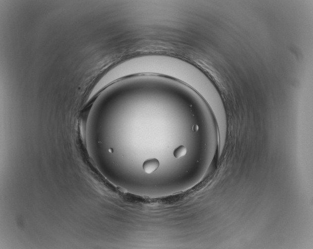 X0000111010309200906191617