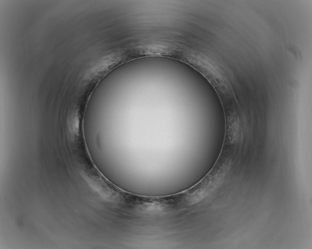 X0000111010310200906191617