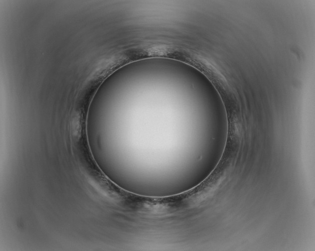 X0000111010311200906191617