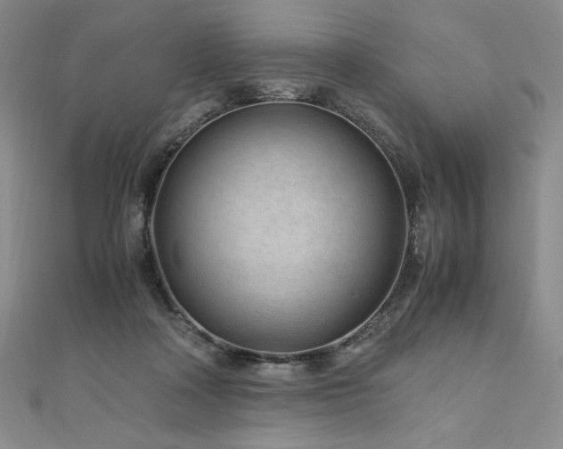 X0000111010314200906191617