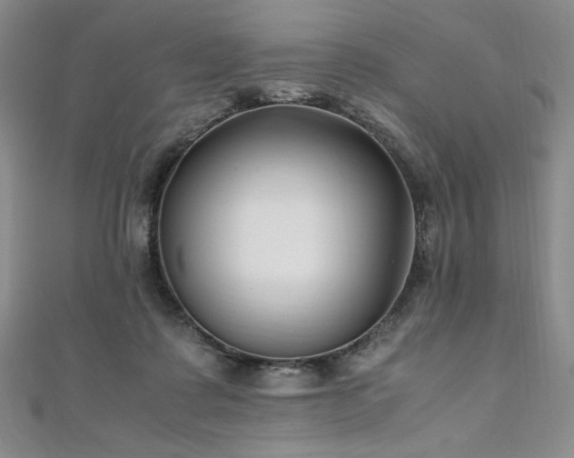X0000111010315200906191617