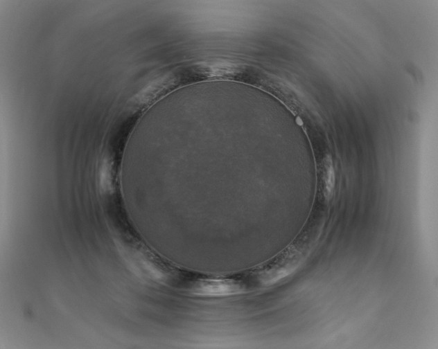 X0000111010316200906191617