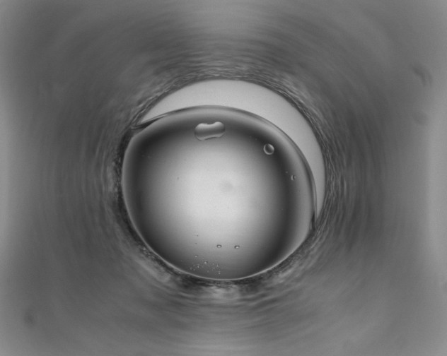 X0000111010317200906191617
