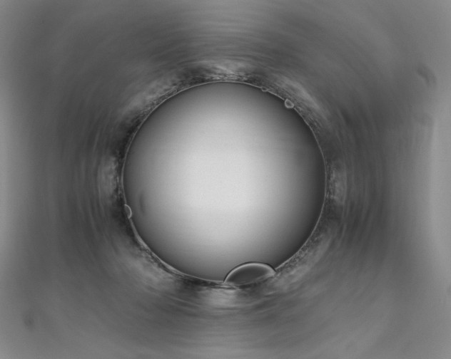 X0000111010318200906191617
