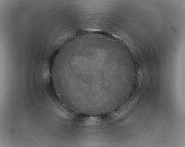 X0000111010320200906191617