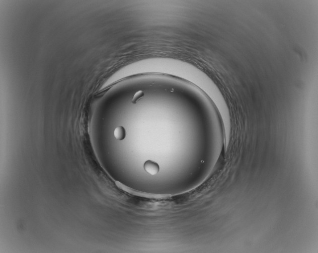 X0000111010323200906191617
