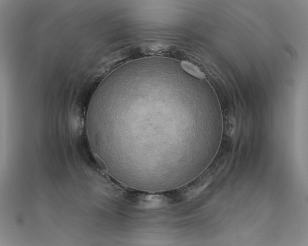X0000111010324200906191617