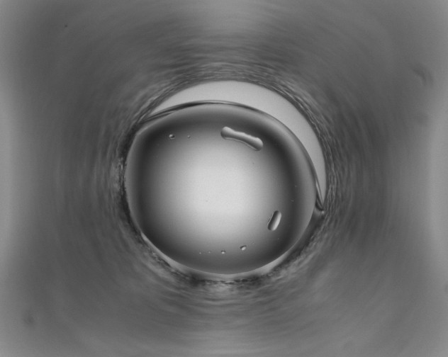 X0000111010325200906191617