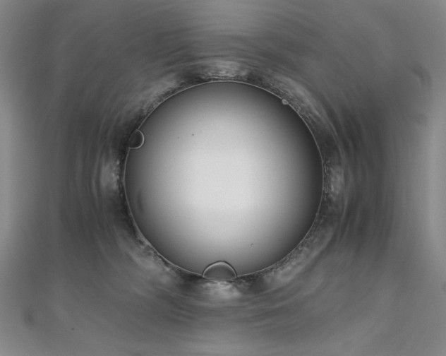 X0000111010326200906191617