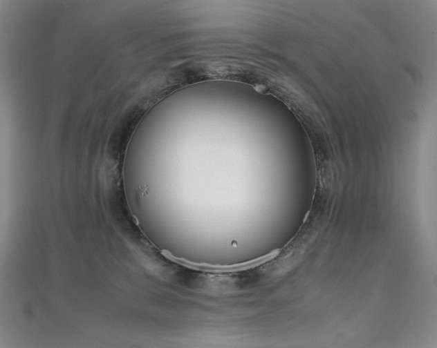 X0000111010327200906191617