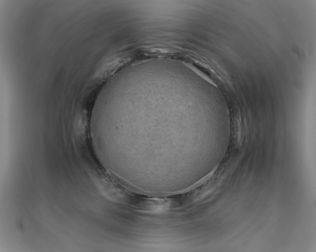 X0000111010328200906191617