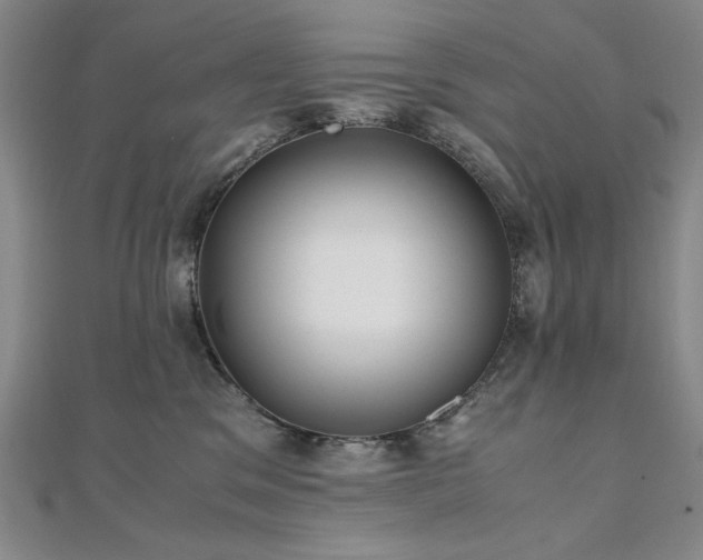 X0000111010329200906191617