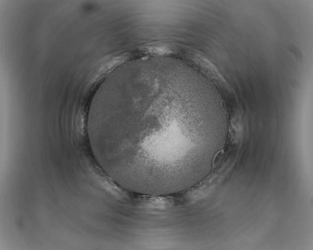 X0000111010330200906191617