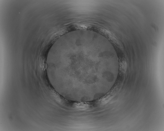 X0000111010331200906191617