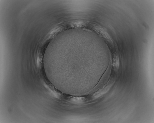 X0000111010332200906191617