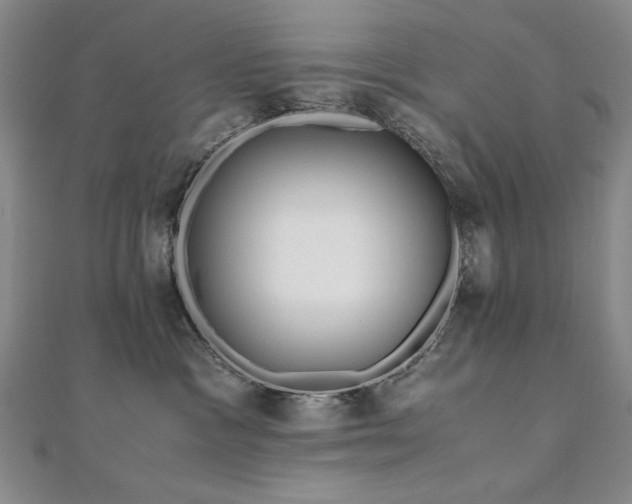 X0000111010333200906191617