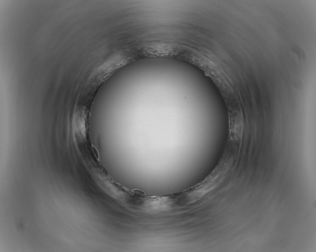 X0000111010334200906191617