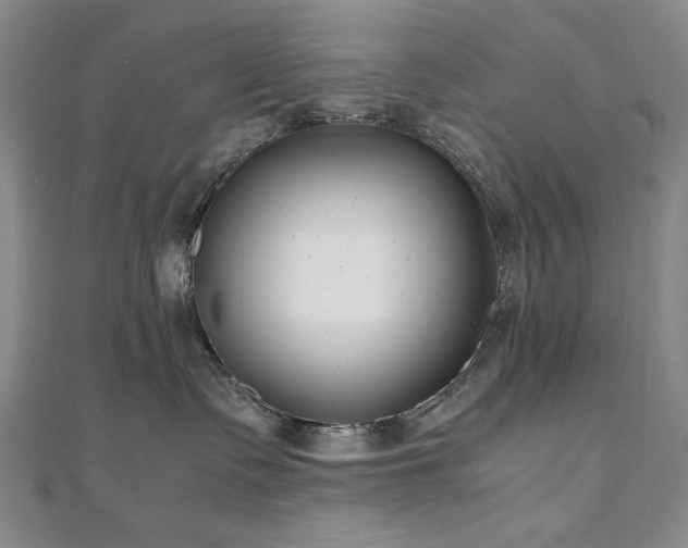 X0000111010335200906191617