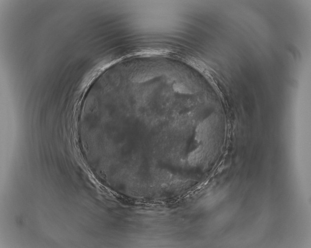 X0000111010337200906191616