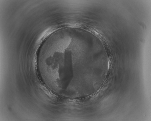X0000111010339200906191616