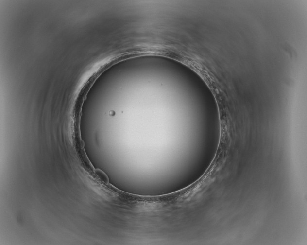 X0000111010342200906191616