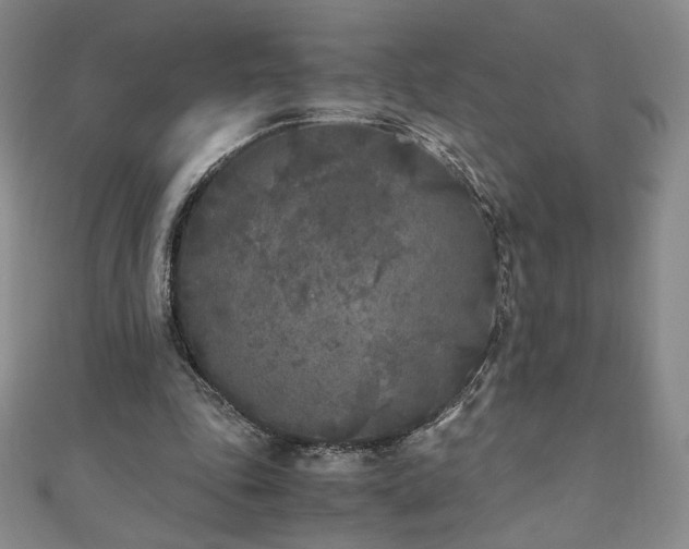 X0000111010343200906191616